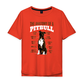 Мужская футболка хлопок Oversize с принтом Анатомия питбуля , 100% хлопок | свободный крой, круглый ворот, “спинка” длиннее передней части | pit bull | животное | пес | песель | песик | пит буль | питбули | питбуль | собака | собачка | щенок