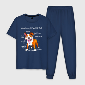 Мужская пижама хлопок с принтом Анатомия счастливого питбуля в Белгороде, 100% хлопок | брюки и футболка прямого кроя, без карманов, на брюках мягкая резинка на поясе и по низу штанин
 | pit bull | животное | пес | песель | песик | пит буль | питбули | питбуль | собака | собачка | щенок