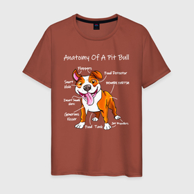 Мужская футболка хлопок с принтом Анатомия счастливого питбуля в Екатеринбурге, 100% хлопок | прямой крой, круглый вырез горловины, длина до линии бедер, слегка спущенное плечо. | pit bull | животное | пес | песель | песик | пит буль | питбули | питбуль | собака | собачка | щенок