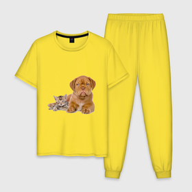 Мужская пижама хлопок с принтом CUTE PETS , 100% хлопок | брюки и футболка прямого кроя, без карманов, на брюках мягкая резинка на поясе и по низу штанин
 | домашние животные | забавный | котенок | кошка | милый | очаровательны | щенок