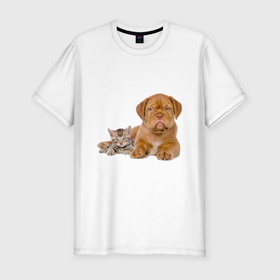 Мужская футболка хлопок Slim с принтом CUTE PETS в Новосибирске, 92% хлопок, 8% лайкра | приталенный силуэт, круглый вырез ворота, длина до линии бедра, короткий рукав | домашние животные | забавный | котенок | кошка | милый | очаровательны | щенок
