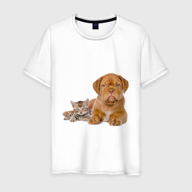 Мужская футболка хлопок с принтом CUTE PETS в Кировске, 100% хлопок | прямой крой, круглый вырез горловины, длина до линии бедер, слегка спущенное плечо. | домашние животные | забавный | котенок | кошка | милый | очаровательны | щенок