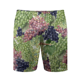 Мужские шорты спортивные с принтом Кисти Винограда в Курске,  |  | Тематика изображения на принте: brushes | grape | summer | виноград | кисти | лето