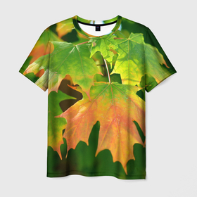Мужская футболка 3D с принтом кленовый лист в Курске, 100% полиэфир | прямой крой, круглый вырез горловины, длина до линии бедер | зеленый | камуфляж | канада | клен | кленовый лист | лес | лето | лист | маскировка | ростислав удача