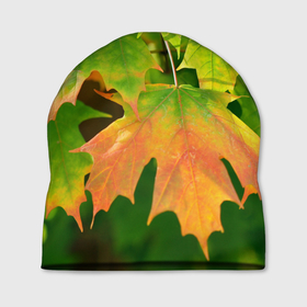 Шапка 3D с принтом кленовый лист в Петрозаводске, 100% полиэстер | универсальный размер, печать по всей поверхности изделия | зеленый | камуфляж | канада | клен | кленовый лист | лес | лето | лист | маскировка | ростислав удача
