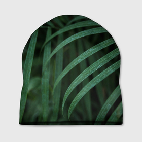 Шапка 3D с принтом камуфляж тропики в Петрозаводске, 100% полиэстер | универсальный размер, печать по всей поверхности изделия | болотный | зеленый | камуфляж | маскировка | растения | ростислав удача | тропики | тропический лес