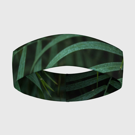 Повязка на голову 3D с принтом камуфляж тропики в Кировске,  |  | болотный | зеленый | камуфляж | маскировка | растения | ростислав удача | тропики | тропический лес