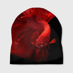 Шапка 3D с принтом бойцовская рыбка в Курске, 100% полиэстер | универсальный размер, печать по всей поверхности изделия | бойцовская рыбка | красная рыба | красный | ростислав удача | рыбка | черный