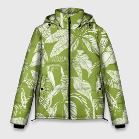 Мужская зимняя куртка 3D с принтом Зелёные Тропики Лета в Санкт-Петербурге, верх — 100% полиэстер; подкладка — 100% полиэстер; утеплитель — 100% полиэстер | длина ниже бедра, свободный силуэт Оверсайз. Есть воротник-стойка, отстегивающийся капюшон и ветрозащитная планка. 

Боковые карманы с листочкой на кнопках и внутренний карман на молнии. | banana leaves | jungles | leaves | summer | tropics | банановые листья | джунгли | лето | листья | тропики