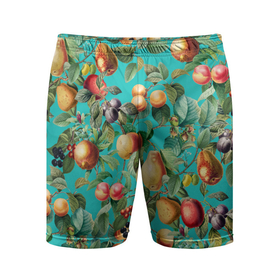 Мужские шорты спортивные с принтом Ассорти Фруктов в Новосибирске,  |  | fruits | summer | вишня | груши | киви | лето | сливы | фрукты | яблоки