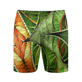 Мужские шорты спортивные с принтом Растительный абстрактный фрактальный паттерн   Vegetable Abstract Fractal Pattern в Екатеринбурге,  |  | abstraction | fashion | fractal | pattern | абстракция | мода | узор | фрактал