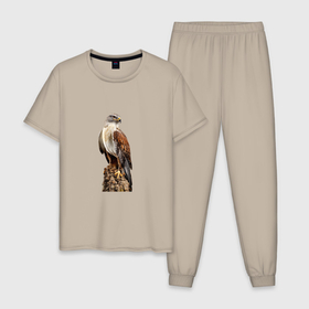 Мужская пижама хлопок с принтом NOBLE HAWK в Екатеринбурге, 100% хлопок | брюки и футболка прямого кроя, без карманов, на брюках мягкая резинка на поясе и по низу штанин
 | Тематика изображения на принте: благородный | величественный | духовность | животное | клюв | когти | крылья | перья | полет | природа | птица | символ | хищник | ястреб