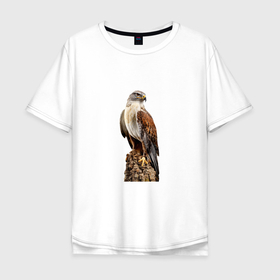 Мужская футболка хлопок Oversize с принтом NOBLE HAWK , 100% хлопок | свободный крой, круглый ворот, “спинка” длиннее передней части | благородный | величественный | духовность | животное | клюв | когти | крылья | перья | полет | природа | птица | символ | хищник | ястреб
