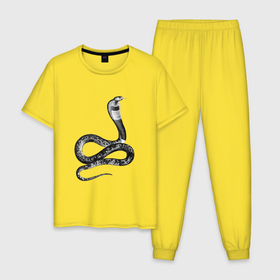 Мужская пижама хлопок с принтом Кобра | Cobra , 100% хлопок | брюки и футболка прямого кроя, без карманов, на брюках мягкая резинка на поясе и по низу штанин
 | cobra | reptile | snake | змея | кобра