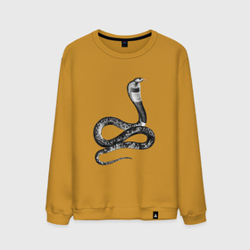 Мужской свитшот хлопок с принтом Кобра | Cobra в Петрозаводске, 100% хлопок |  | cobra | reptile | snake | змея | кобра