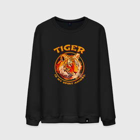 Мужской свитшот хлопок с принтом Тигр   мое тотемное животное в Тюмени, 100% хлопок |  | tiger | животное | зверь | кошачие | кошачий | крупная кошка | тигр | тигринный | тигрица | тигры | хищник | царь зверей