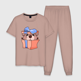 Мужская пижама хлопок с принтом Бобер в подарочной коробке , 100% хлопок | брюки и футболка прямого кроя, без карманов, на брюках мягкая резинка на поясе и по низу штанин
 | бобер | грызун | день рождения | подарок | праздник