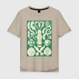 Мужская футболка хлопок Oversize с принтом Platodes Plattentiere (Морские обитатели) , 100% хлопок | свободный крой, круглый ворот, “спинка” длиннее передней части | винтаж | живопись | картина | классика | медуза | море | морские жители | морские обитатели | постер | рыба | цветы