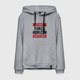 Мужская толстовка хлопок с принтом Forza Horizon: таблички Ultimate и Best Player , френч-терри, мягкий теплый начес внутри (100% хлопок) | карман-кенгуру, эластичные манжеты и нижняя кромка, капюшон с подкладом и шнурком | forza | forza horizon | horizon | logo | ultimate | игра | игры | лого | логотип | символ | форза | хорайзон