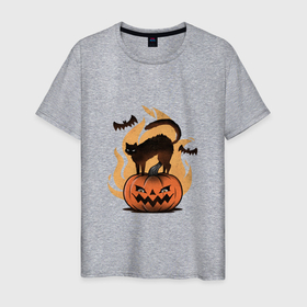 Мужская футболка хлопок с принтом CAT ON A PUMPKIN в Петрозаводске, 100% хлопок | прямой крой, круглый вырез горловины, длина до линии бедер, слегка спущенное плечо. | забавный | летучая мышь | магия | милый | праздник | призрак | страшный | тыква | хэллоуин | черный