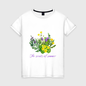 Женская футболка хлопок с принтом Ароматы лета полевые цветы лето в Тюмени, 100% хлопок | прямой крой, круглый вырез горловины, длина до линии бедер, слегка спущенное плечо | ароматы лета | ботаника | букет | летний | лето | луговые цветы | одуванчик | полевые цветы | растения | растительный | фиалка | цветочный | цветы