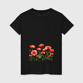 Женская футболка хлопок с принтом Poppies красные маки , 100% хлопок | прямой крой, круглый вырез горловины, длина до линии бедер, слегка спущенное плечо | Тематика изображения на принте: poppies | poppy | red flowers | ботаника | красные цветы | красный мак | мак | растения | растительный | цветочный | цветы