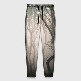 Мужские брюки 3D с принтом Лес   Туман в Тюмени, 100% полиэстер | манжеты по низу, эластичный пояс регулируется шнурком, по бокам два кармана без застежек, внутренняя часть кармана из мелкой сетки | fog | forest | morning | лес | туман | утро