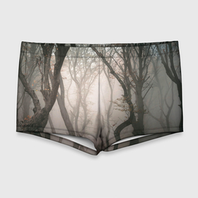Мужские купальные плавки 3D с принтом Лес   Туман , Полиэстер 85%, Спандекс 15% |  | Тематика изображения на принте: fog | forest | morning | лес | туман | утро