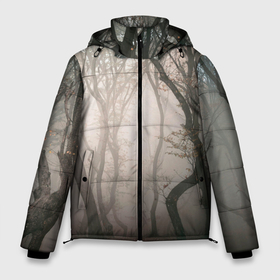 Мужская зимняя куртка 3D с принтом Лес   Туман в Новосибирске, верх — 100% полиэстер; подкладка — 100% полиэстер; утеплитель — 100% полиэстер | длина ниже бедра, свободный силуэт Оверсайз. Есть воротник-стойка, отстегивающийся капюшон и ветрозащитная планка. 

Боковые карманы с листочкой на кнопках и внутренний карман на молнии. | Тематика изображения на принте: fog | forest | morning | лес | туман | утро