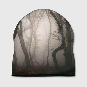 Шапка 3D с принтом Лес   Туман в Санкт-Петербурге, 100% полиэстер | универсальный размер, печать по всей поверхности изделия | fog | forest | morning | лес | туман | утро