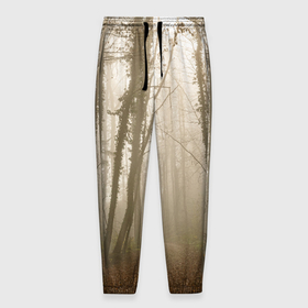 Мужские брюки 3D с принтом Туманный лес на восходе в Новосибирске, 100% полиэстер | манжеты по низу, эластичный пояс регулируется шнурком, по бокам два кармана без застежек, внутренняя часть кармана из мелкой сетки | fog | forest | morning | sun | восход | лес | солнце | туман | утро