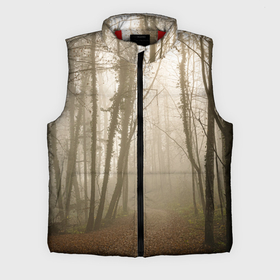 Мужской жилет утепленный 3D с принтом Туманный лес на восходе ,  |  | Тематика изображения на принте: fog | forest | morning | sun | восход | лес | солнце | туман | утро