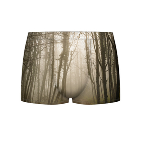 Мужские трусы 3D с принтом Туманный лес на восходе , 50% хлопок, 50% полиэстер | классическая посадка, на поясе мягкая тканевая резинка | fog | forest | morning | sun | восход | лес | солнце | туман | утро