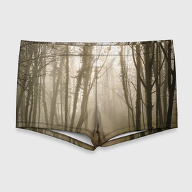Мужские купальные плавки 3D с принтом Туманный лес на восходе , Полиэстер 85%, Спандекс 15% |  | Тематика изображения на принте: fog | forest | morning | sun | восход | лес | солнце | туман | утро