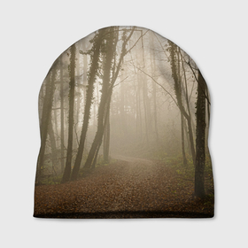 Шапка 3D с принтом Туманный лес на восходе , 100% полиэстер | универсальный размер, печать по всей поверхности изделия | Тематика изображения на принте: fog | forest | morning | sun | восход | лес | солнце | туман | утро