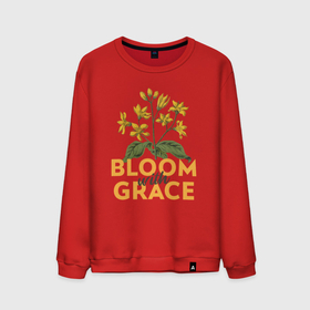 Мужской свитшот хлопок с принтом Bloom with grace в Тюмени, 100% хлопок |  | вдохновенье | достоинство | комнатные | настроение | огород | полевые | растения | сад | садовод | счастье | цветение | цветок | цветы | экология