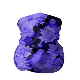 Бандана-труба 3D с принтом Хризантемы | Сhrysanthemums в Кировске, 100% полиэстер, ткань с особыми свойствами — Activecool | плотность 150‒180 г/м2; хорошо тянется, но сохраняет форму | Тематика изображения на принте: blue | flower | flowers | plant | purple | весна | лепестки | летний | летняя | лето | листья | на каждый день | на лето | осень | поле | растение | сиреневый | фиолетовые цветы | фиолетовый цветок | флора | цветок
