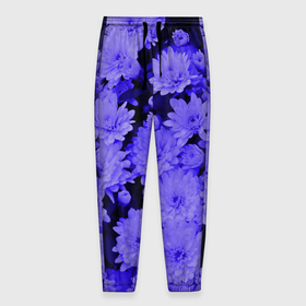 Мужские брюки 3D с принтом Хризантемы | Сhrysanthemums в Новосибирске, 100% полиэстер | манжеты по низу, эластичный пояс регулируется шнурком, по бокам два кармана без застежек, внутренняя часть кармана из мелкой сетки | Тематика изображения на принте: blue | flower | flowers | plant | purple | весна | лепестки | летний | летняя | лето | листья | на каждый день | на лето | осень | поле | растение | сиреневый | фиолетовые цветы | фиолетовый цветок | флора | цветок