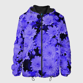 Мужская куртка 3D с принтом Хризантемы | Сhrysanthemums в Новосибирске, ткань верха — 100% полиэстер, подклад — флис | прямой крой, подол и капюшон оформлены резинкой с фиксаторами, два кармана без застежек по бокам, один большой потайной карман на груди. Карман на груди застегивается на липучку | Тематика изображения на принте: blue | flower | flowers | plant | purple | весна | лепестки | летний | летняя | лето | листья | на каждый день | на лето | осень | поле | растение | сиреневый | фиолетовые цветы | фиолетовый цветок | флора | цветок