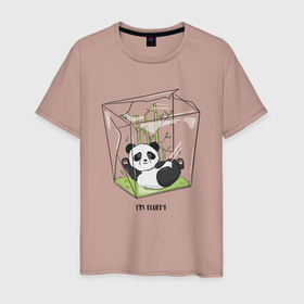 Мужская футболка хлопок с принтом Im fluffy в Петрозаводске, 100% хлопок | прямой крой, круглый вырез горловины, длина до линии бедер, слегка спущенное плечо. | бамбук | диета | медведь | мультяшный | настроение | панда | пушистый | сладкоежка