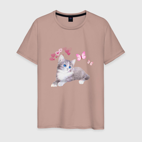 Мужская футболка хлопок с принтом Голубоглазый котенок и бабочки в Екатеринбурге, 100% хлопок | прямой крой, круглый вырез горловины, длина до линии бедер, слегка спущенное плечо. | бабочка | глаза | голубое | кот | котенок | кошка | милое | розовый | сердце
