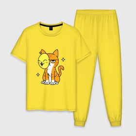 Мужская пижама хлопок с принтом THE MASKED CAT в Новосибирске, 100% хлопок | брюки и футболка прямого кроя, без карманов, на брюках мягкая резинка на поясе и по низу штанин
 | в маске | домашний | животное | забавный | милый | цветной