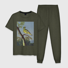 Мужская пижама хлопок с принтом Groenling (Обыкновенная зеленушка) в Петрозаводске, 100% хлопок | брюки и футболка прямого кроя, без карманов, на брюках мягкая резинка на поясе и по низу штанин
 | абстракция | винтаж | геометрия | животные | зеленушка | картина | классика | красный | кубизм | минимализм | портрет | природа | птицы | синий | фауна | экспрессионизм