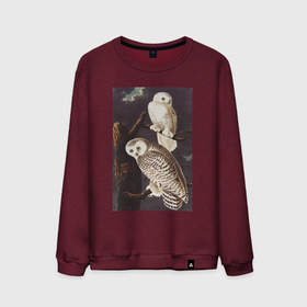 Мужской свитшот хлопок с принтом Snowy Owl (Сова) в Тюмени, 100% хлопок |  | абстракция | винтаж | геометрия | животные | картина | классика | красный | кубизм | портрет | природа | птицы | сова | фауна | экспрессионизм