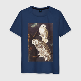 Мужская футболка хлопок с принтом Snowy Owl (Сова) в Петрозаводске, 100% хлопок | прямой крой, круглый вырез горловины, длина до линии бедер, слегка спущенное плечо. | абстракция | винтаж | геометрия | животные | картина | классика | красный | кубизм | портрет | природа | птицы | сова | фауна | экспрессионизм