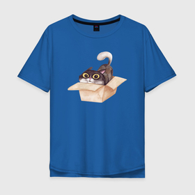 Мужская футболка хлопок Oversize с принтом Котик сидит в коробке в Тюмени, 100% хлопок | свободный крой, круглый ворот, “спинка” длиннее передней части | Тематика изображения на принте: коробка | кот | кот в коробке | котенок | котик