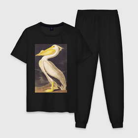 Мужская пижама хлопок с принтом American White Pelican (Пеликан) в Белгороде, 100% хлопок | брюки и футболка прямого кроя, без карманов, на брюках мягкая резинка на поясе и по низу штанин
 | Тематика изображения на принте: абстракция | винтаж | геометрия | животные | картина | классика | красный | кубизм | пеликан | природа | птицы | фауна | экспрессионизм