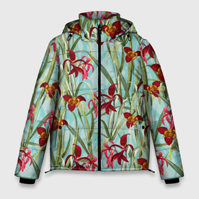 Мужская зимняя куртка 3D с принтом Цветы Красные Тигридии в Санкт-Петербурге, верх — 100% полиэстер; подкладка — 100% полиэстер; утеплитель — 100% полиэстер | длина ниже бедра, свободный силуэт Оверсайз. Есть воротник-стойка, отстегивающийся капюшон и ветрозащитная планка. 

Боковые карманы с листочкой на кнопках и внутренний карман на молнии. | Тематика изображения на принте: flowers | summer | букет | красный | лето | природа | растение | тигридии | флора | цветы