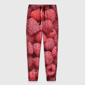 Мужские брюки 3D с принтом Малина   ягоды в Курске, 100% полиэстер | манжеты по низу, эластичный пояс регулируется шнурком, по бокам два кармана без застежек, внутренняя часть кармана из мелкой сетки | еда | лесные ягоды | малина | малина текстура | малиновые | малиновый | фрукты и ягоды | ягода | ягода малина | ягоды
