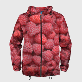Мужская ветровка 3D с принтом Малина   ягоды в Курске, 100% полиэстер | подол и капюшон оформлены резинкой с фиксаторами, два кармана без застежек по бокам, один потайной карман на груди | еда | лесные ягоды | малина | малина текстура | малиновые | малиновый | фрукты и ягоды | ягода | ягода малина | ягоды